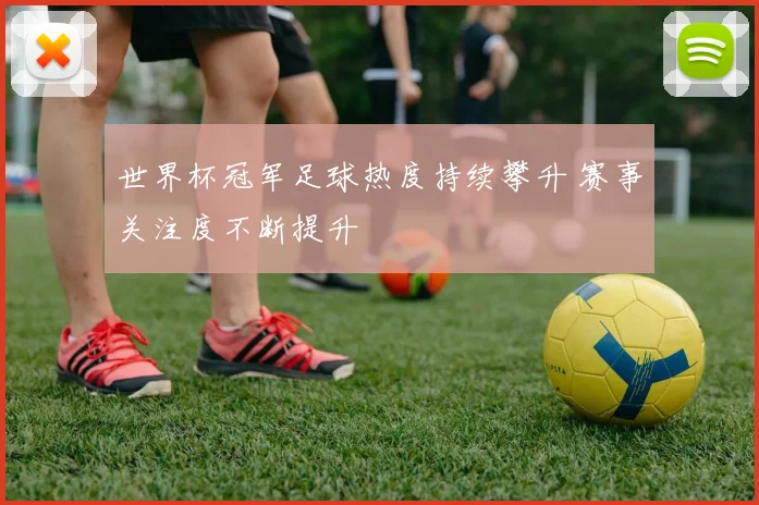 世界杯冠军足球热度持续攀升 赛事关注度不断提升