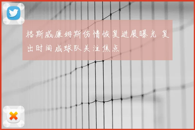 格斯威廉姆斯伤情恢复进展曝光 复出时间成球队关注焦点